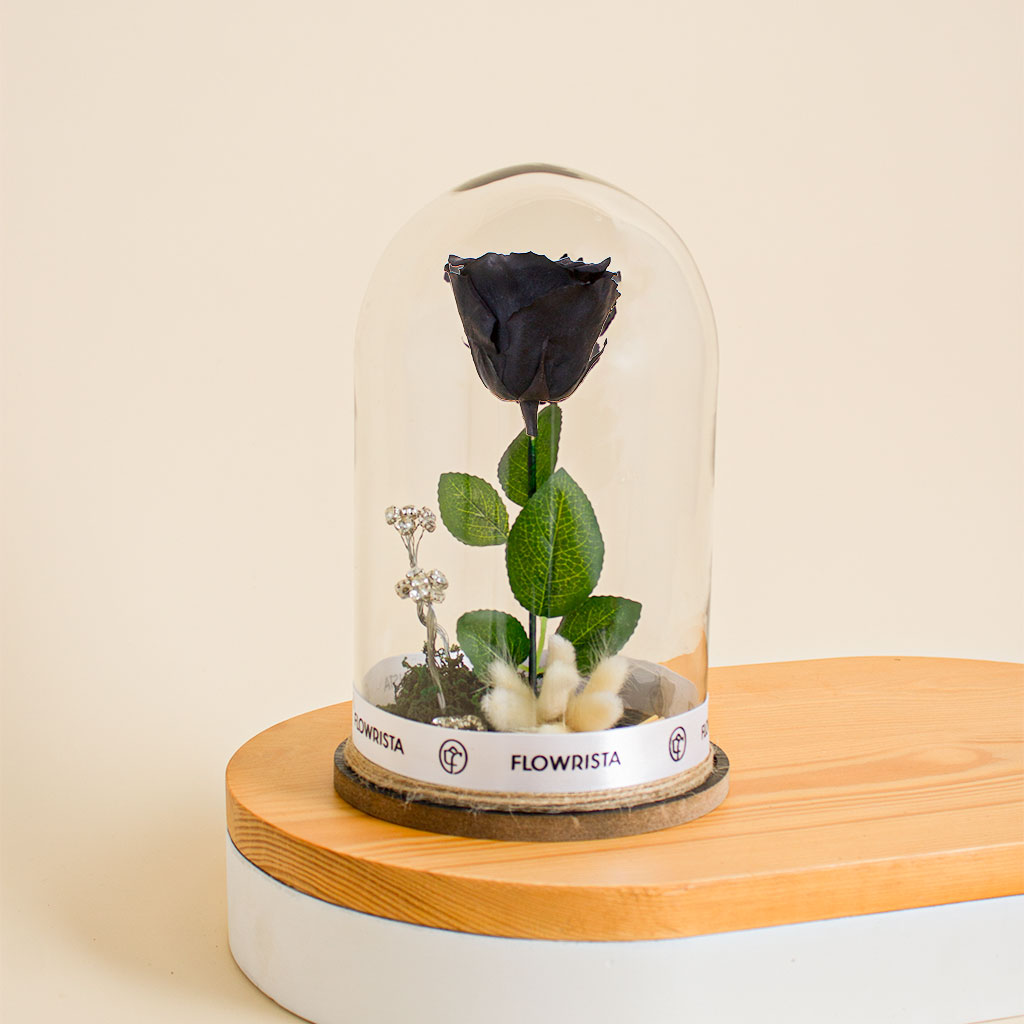 Flowrista Online Flowers Shop وردة الخلود سوداء