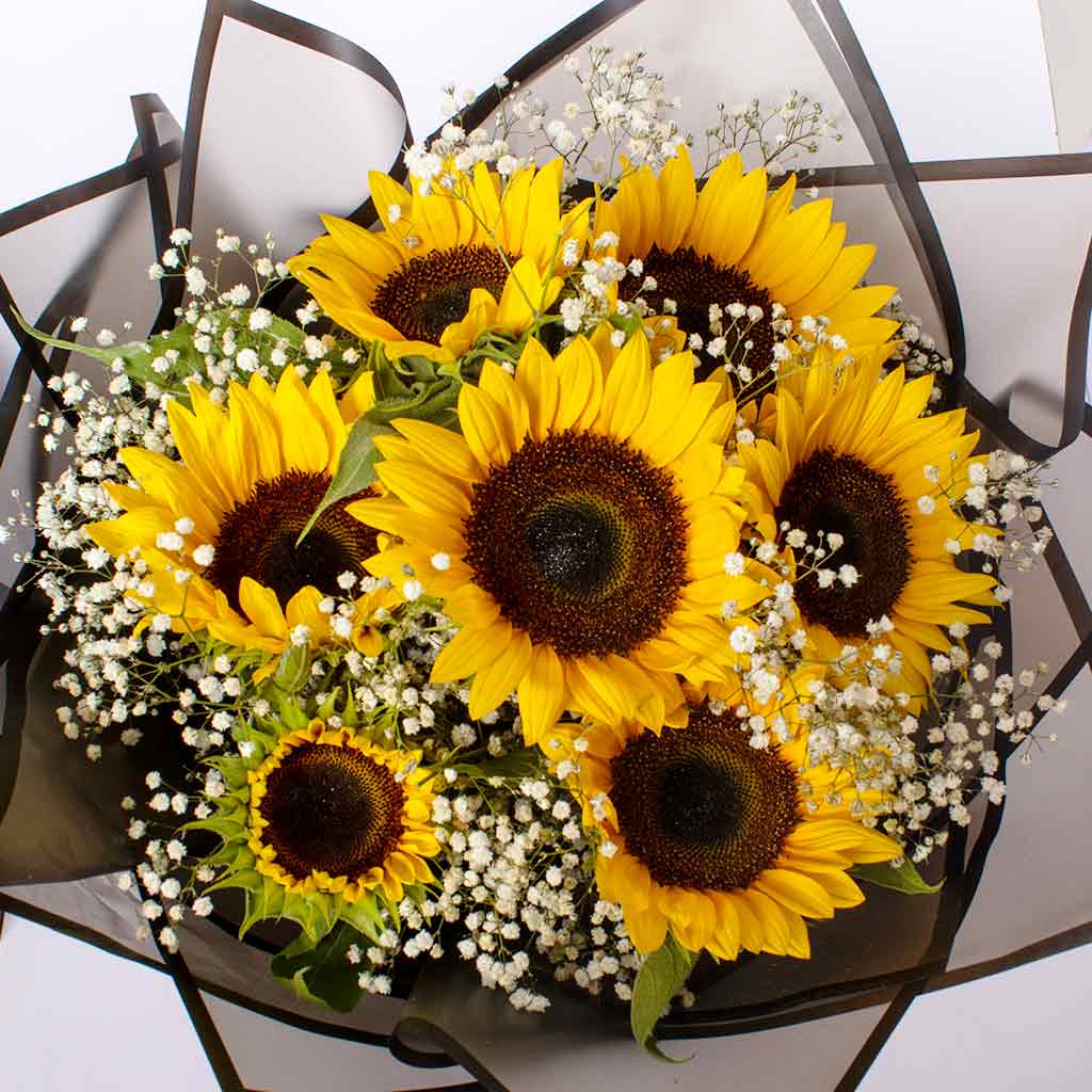 Flowrista Online Flowers Shop Sun Rotana