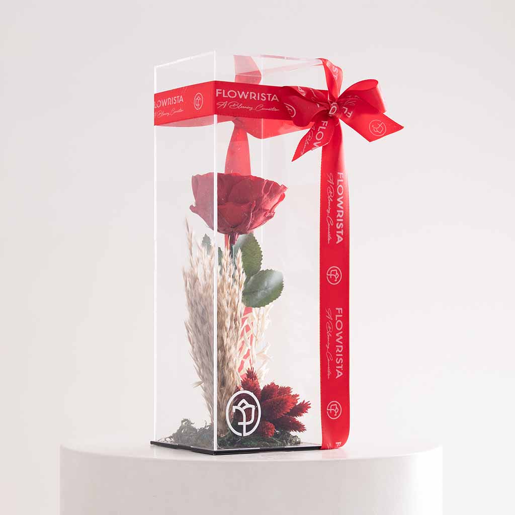 Flowrista Online Flowers Shop وردة الأبدية المميزة