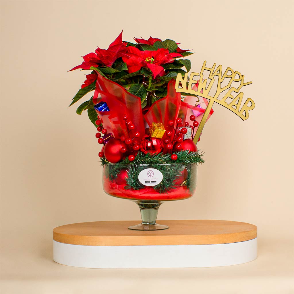 Flowrista Online Flowers Shop New Year Elegant Poinsettia Vase