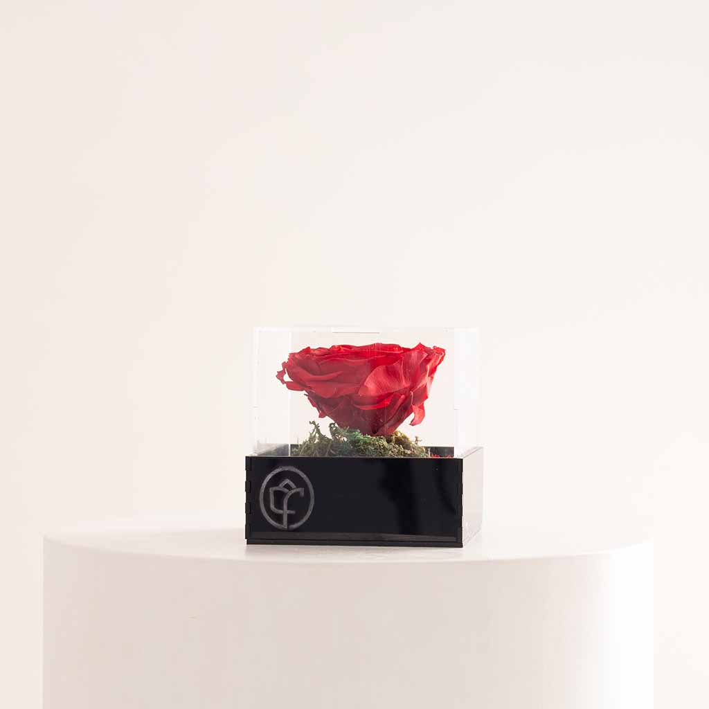 Flowrista Online Flowers Shop Eternity Rose Box