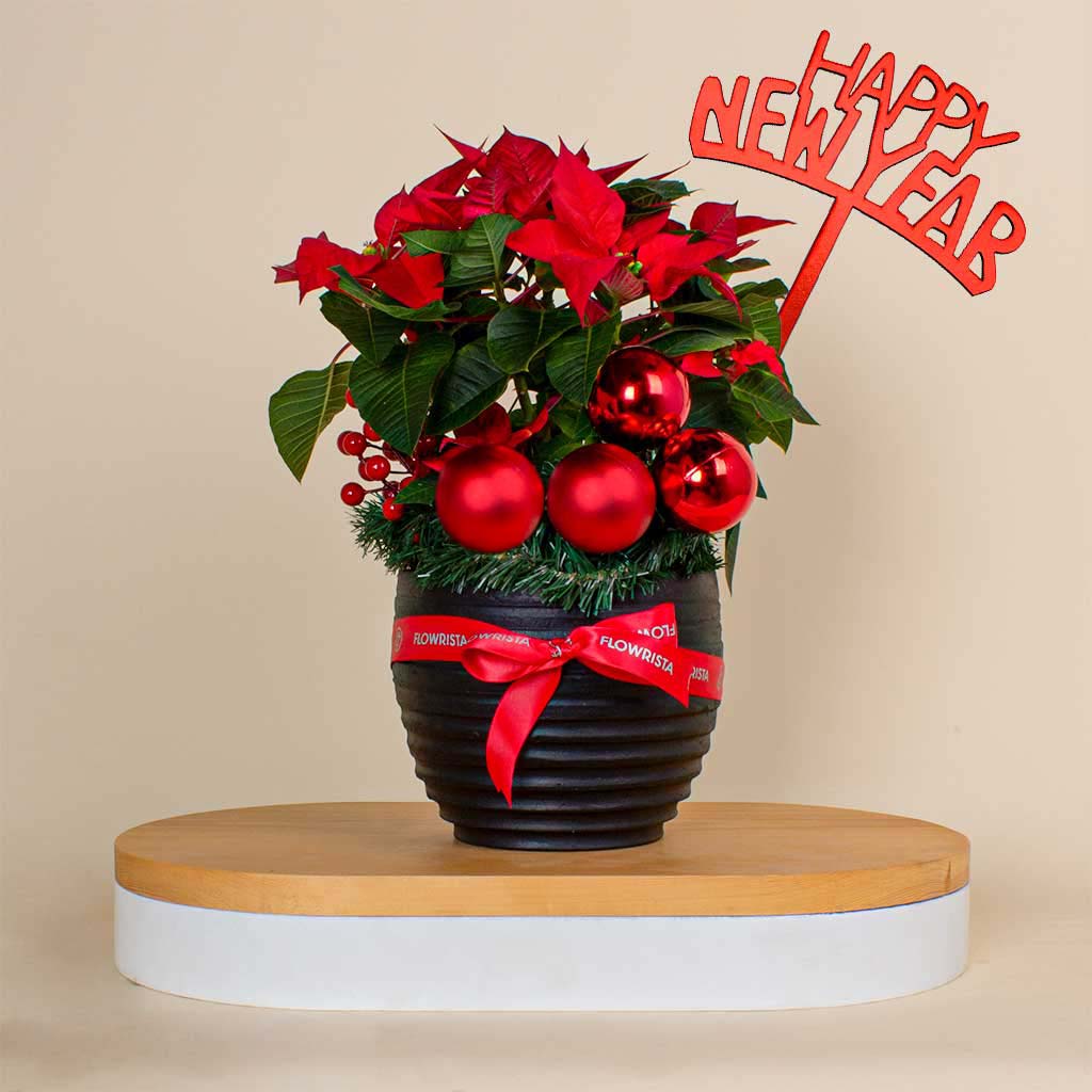 Flowrista Online Flowers Shop فخار بنت القنصل 