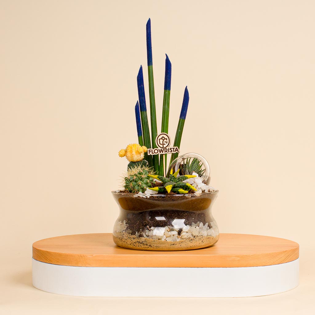 Flowrista Online Flowers Shop فازة زهور الصحراء