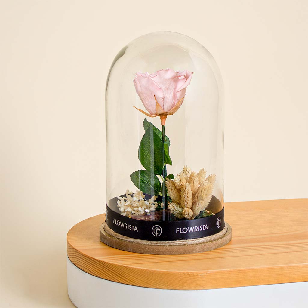 Flowrista Online Flowers Shop وردة الخلود وردية