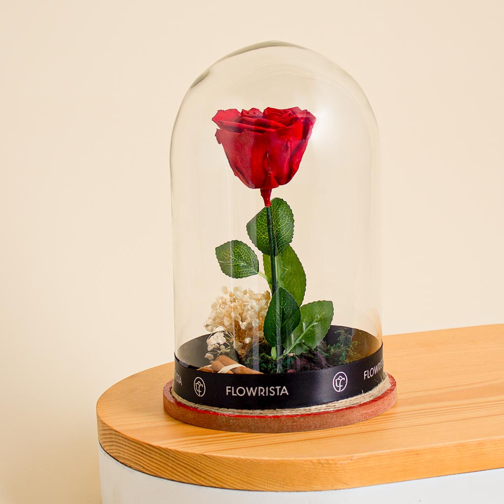 Flowrista Online Flowers Shop  وردة الخلود حمراء