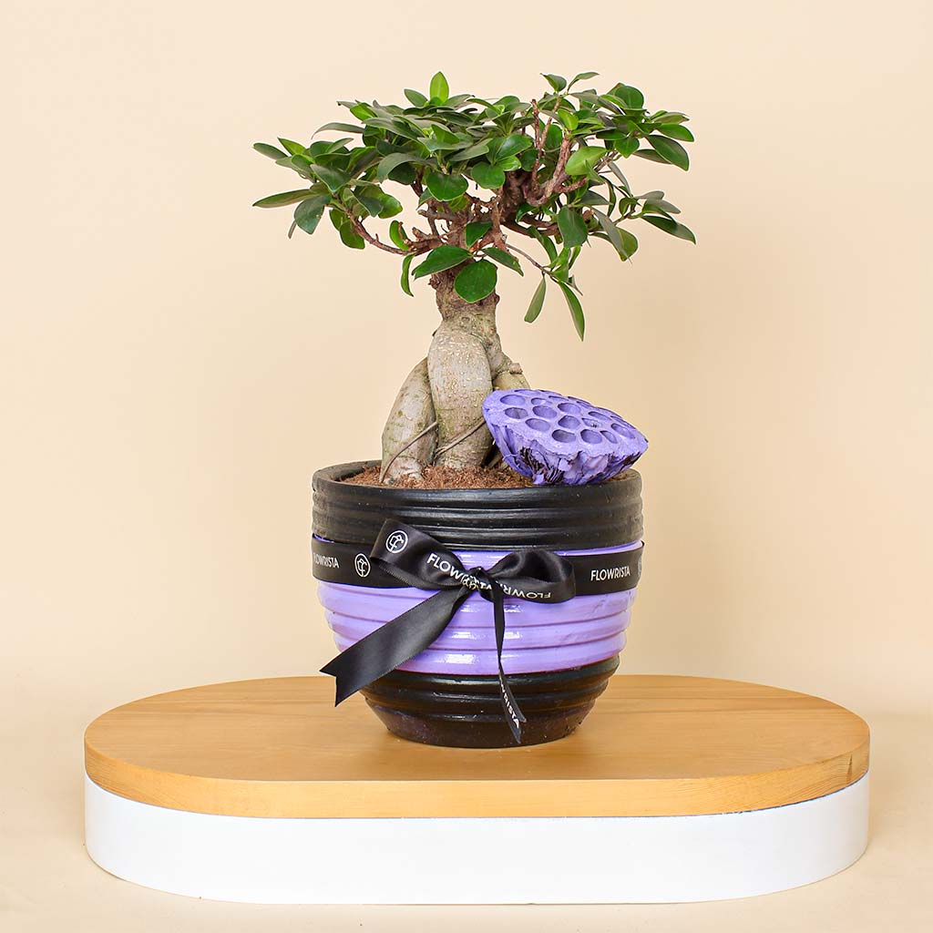 Flowrista Online Flowers Shop قطعة ديكور متعددة الاستخدامات: مزهرية فخارية لديكور داخلي فاخر