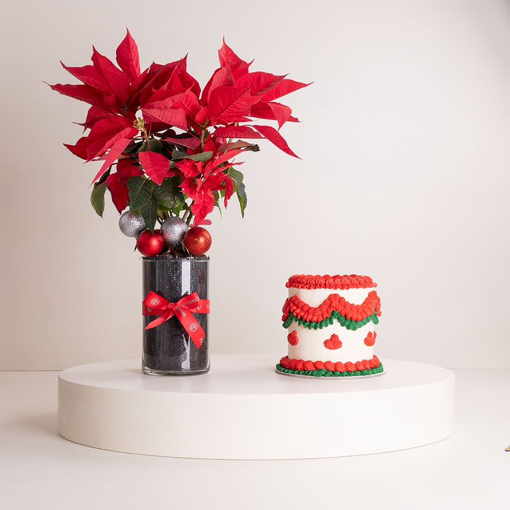 Flowrista Online Flowers Shop Ninos Cake Classic Celebration Edition & Poinsettia Vase