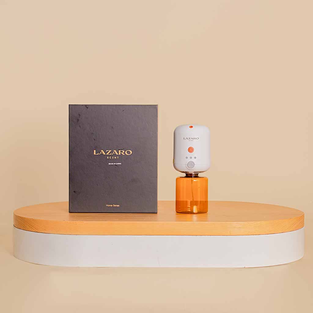 Flowrista Online Flowers Shop Lazaro Home Sense