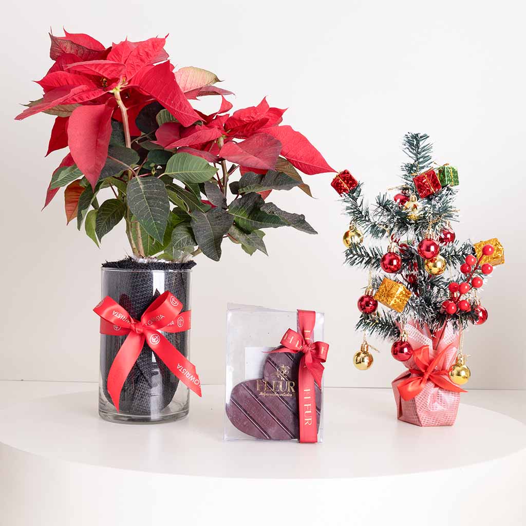 Flowrista Online Flowers Shop مزهرية زهرة البوينسيتيا وشجرة رأس السنة الصغيرة وشوكولاتة فلور على شكل قلب