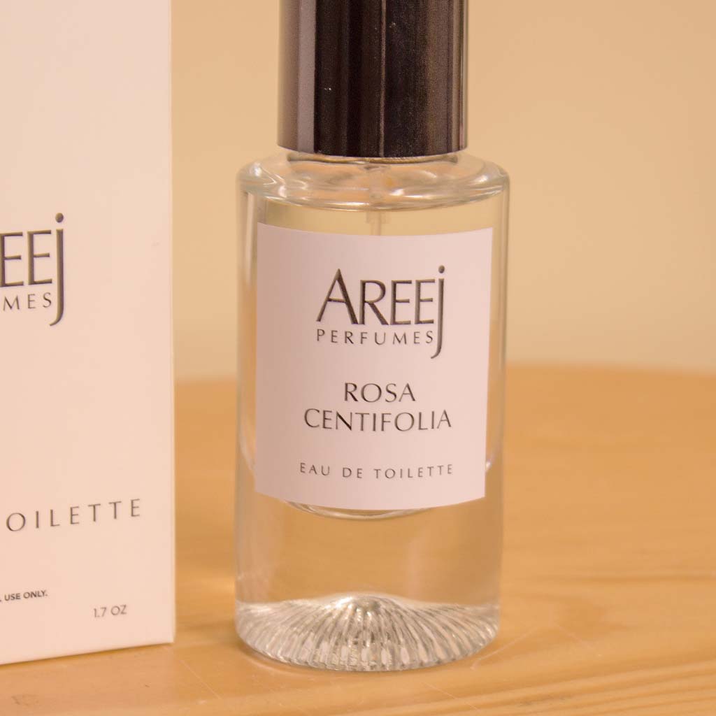 Flowrista Online Flowers Shop Areej Rose Centifolia