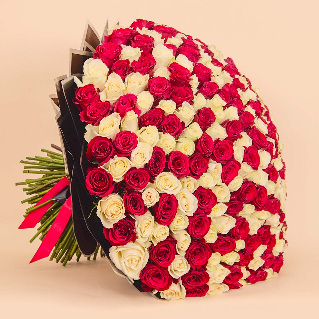 Flowrista Online Flowers Shop فلوريستا | باقة رائعة من ٢٥٠ وردة حمراء وبيضاء
