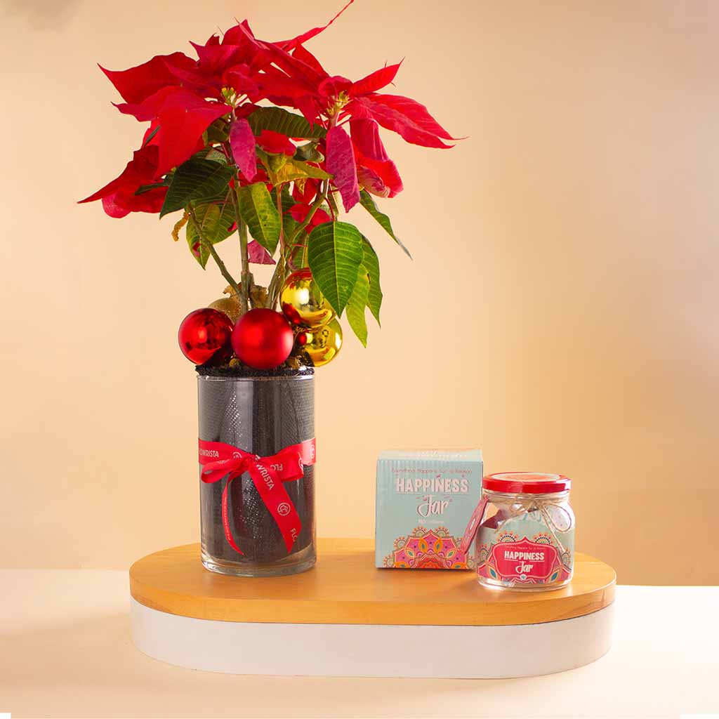 Flowrista Online Flowers Shop Happiness Jar & Poinsettia New Year Vase