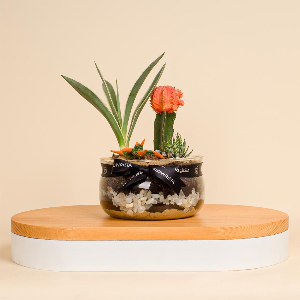 Flowrista Online Flowers Shop Desert Oasis Vase