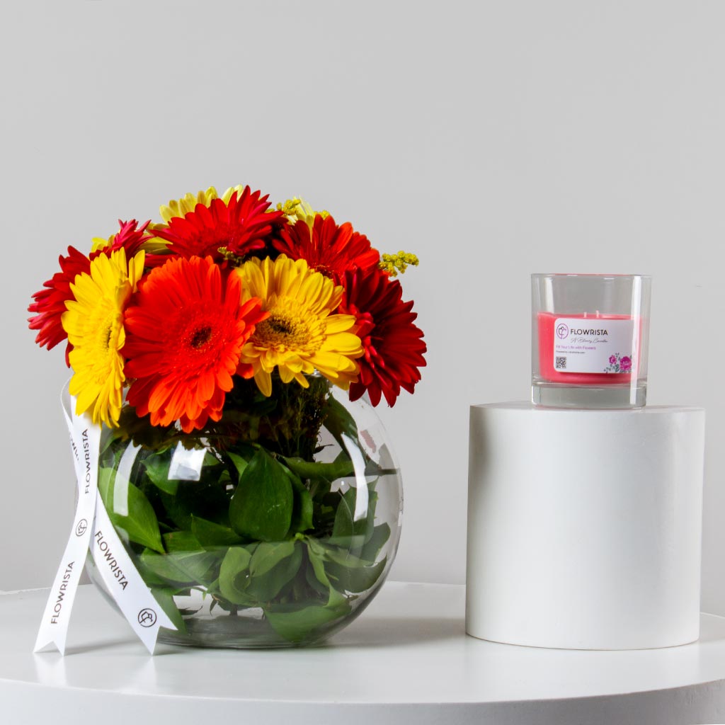 Flowrista Online Flowers Shop مزهرية جيربيرا مع شمعة زارا هوم