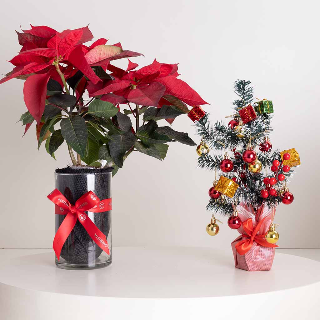 Flowrista Online Flowers Shop Poinsettia Vase & New Year Mini Tree