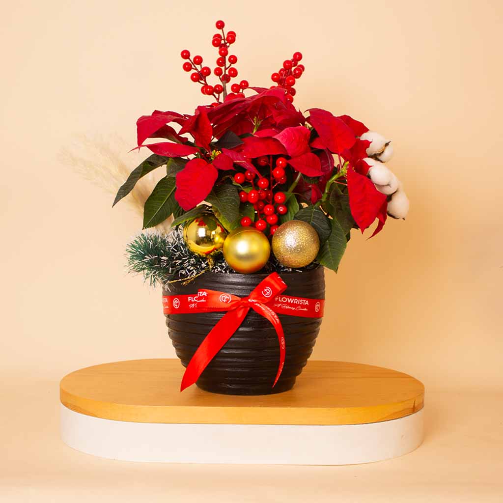 Flowrista Online Flowers Shop Happy New Year Golden Berries Pot